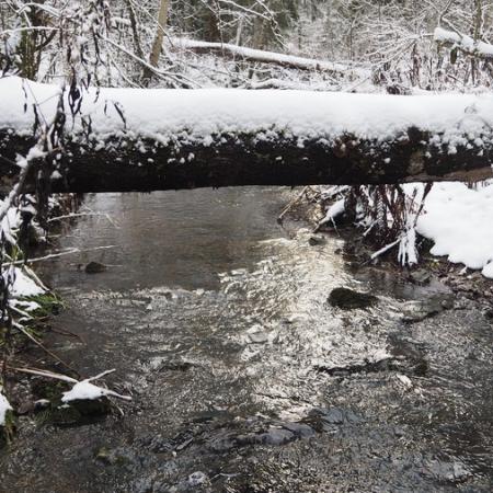 Просмотр увеличенного изображения