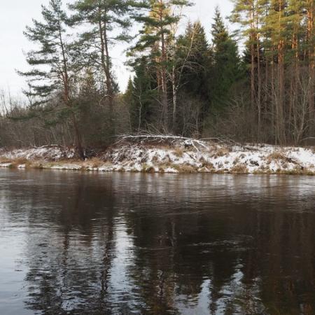 Просмотр увеличенного изображения