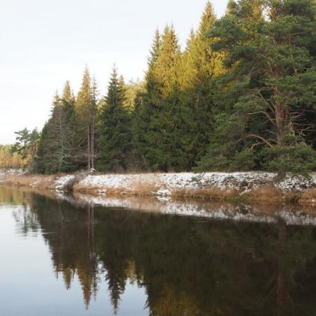 Просмотр увеличенного изображения