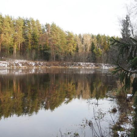 Просмотр увеличенного изображения