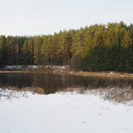 Просмотр увеличенного изображения