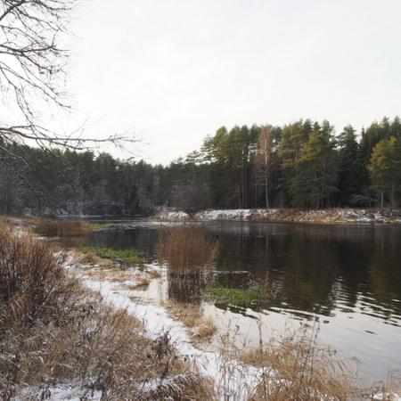 Просмотр увеличенного изображения