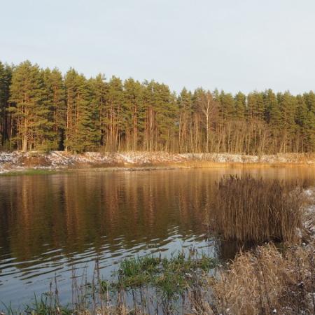 Просмотр увеличенного изображения