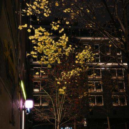 Просмотр увеличенного изображения