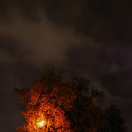 Просмотр увеличенного изображения