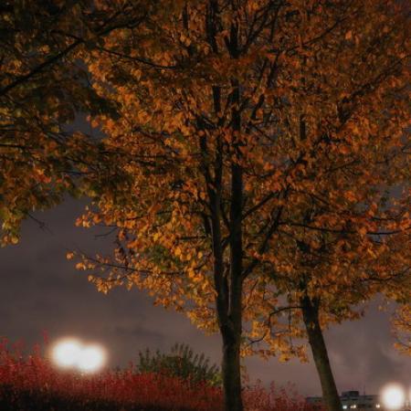 Просмотр увеличенного изображения