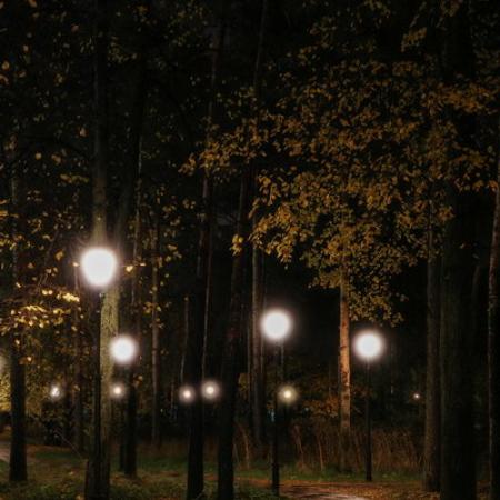 Просмотр увеличенного изображения