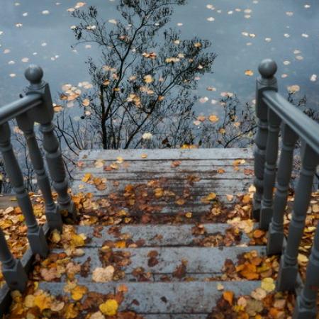 Просмотр увеличенного изображения