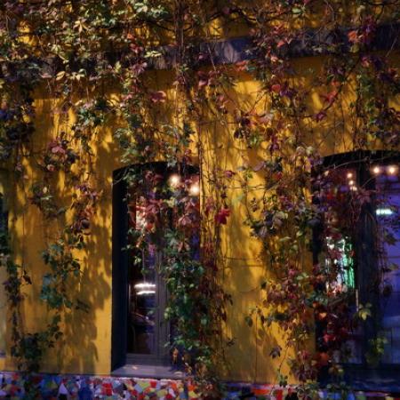 Просмотр увеличенного изображения