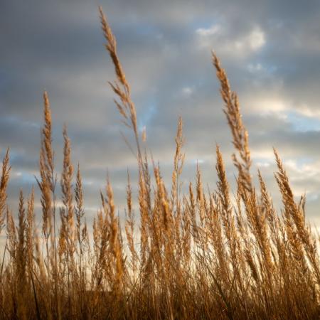 Просмотр увеличенного изображения