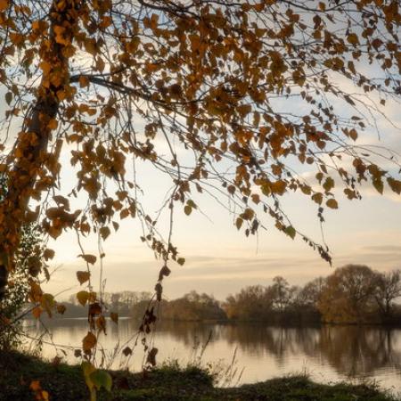 Просмотр увеличенного изображения