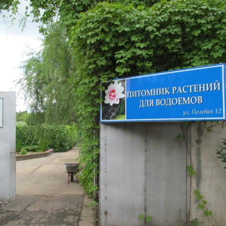 Просмотр увеличенного изображения