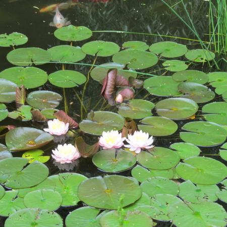 Просмотр увеличенного изображения