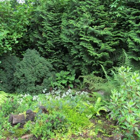 Просмотр увеличенного изображения