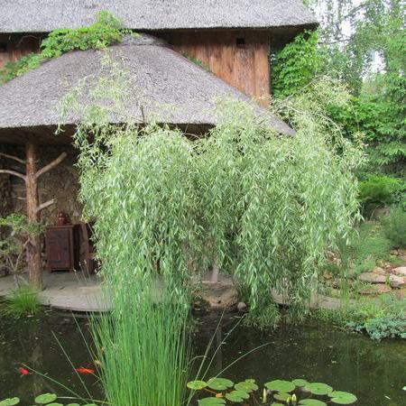 Просмотр увеличенного изображения