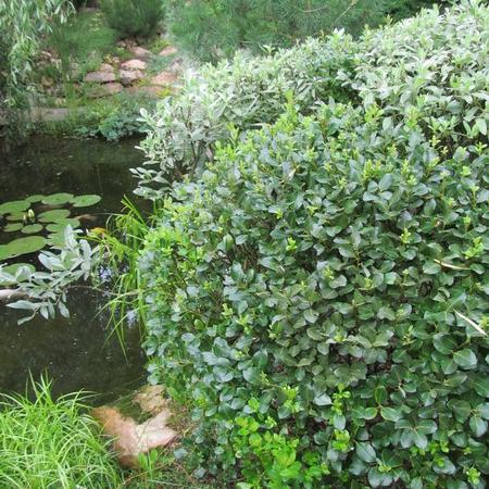 Просмотр увеличенного изображения