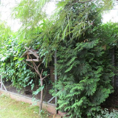 Просмотр увеличенного изображения