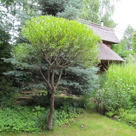 Просмотр увеличенного изображения