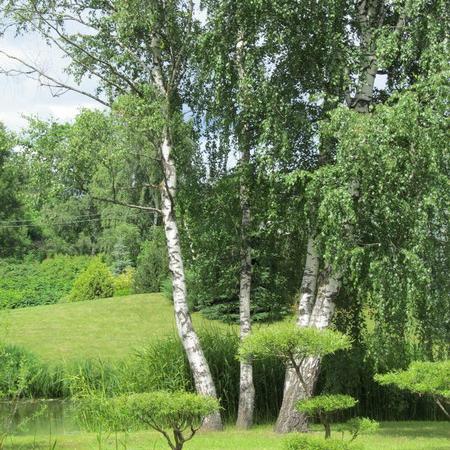 Просмотр увеличенного изображения