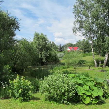 Просмотр увеличенного изображения