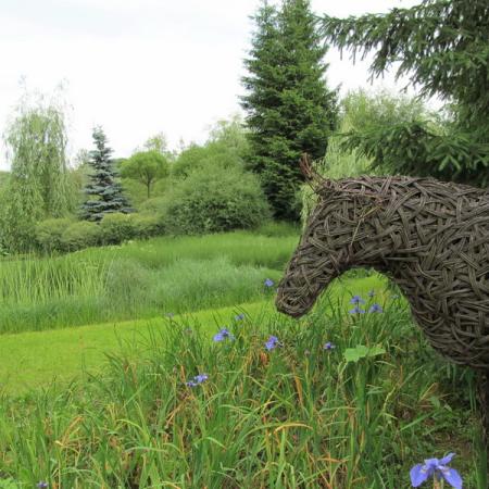 Просмотр увеличенного изображения