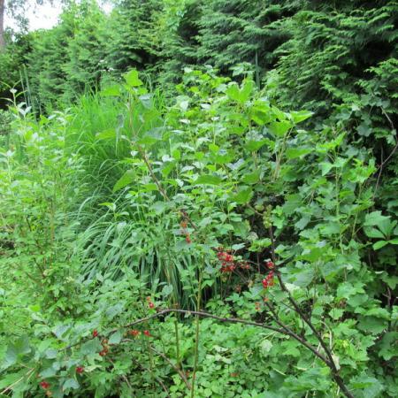 Просмотр увеличенного изображения