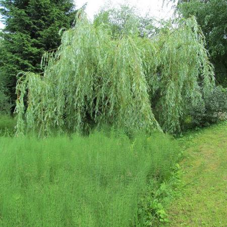 Просмотр увеличенного изображения