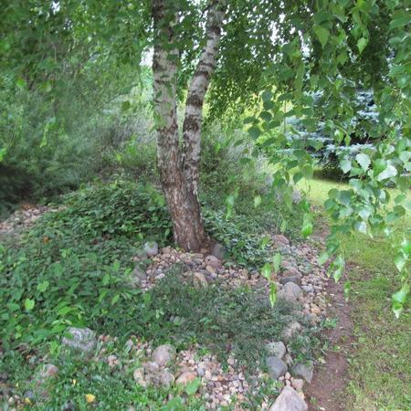 Просмотр увеличенного изображения