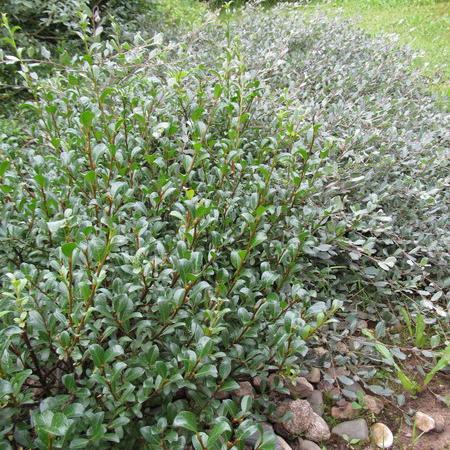 Просмотр увеличенного изображения