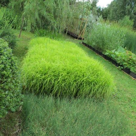 Просмотр увеличенного изображения