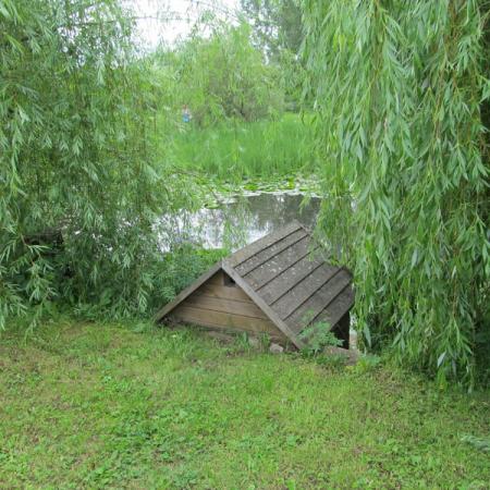 Просмотр увеличенного изображения