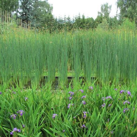 Просмотр увеличенного изображения