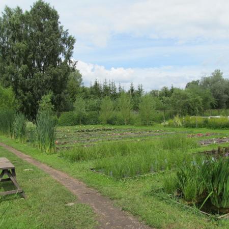 Просмотр увеличенного изображения