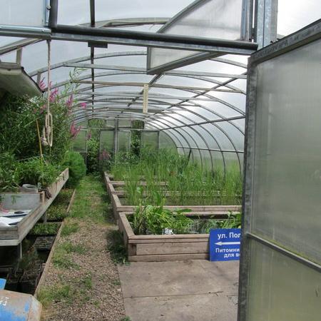 Просмотр увеличенного изображения