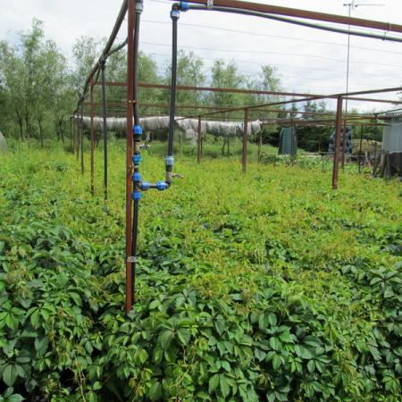 Просмотр увеличенного изображения