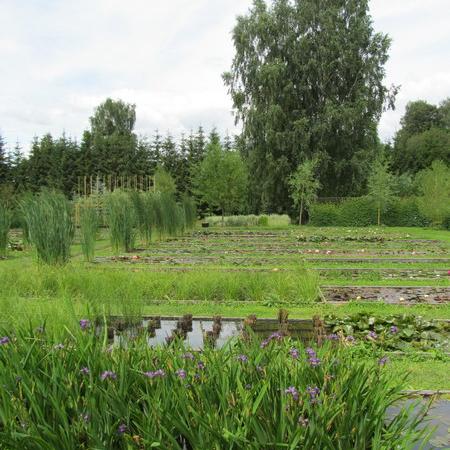 Просмотр увеличенного изображения