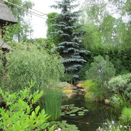 Просмотр увеличенного изображения