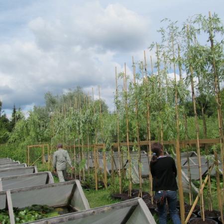 Просмотр увеличенного изображения