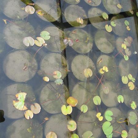 Просмотр увеличенного изображения