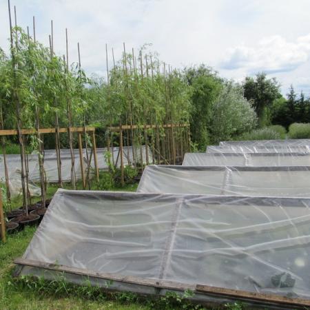 Просмотр увеличенного изображения