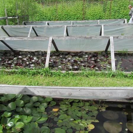 Просмотр увеличенного изображения