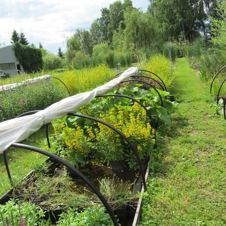 Просмотр увеличенного изображения