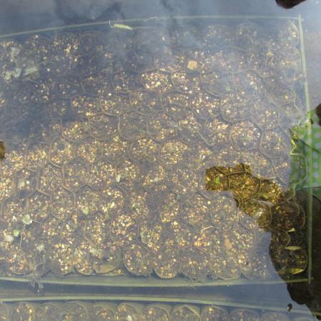 Просмотр увеличенного изображения