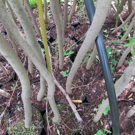 Просмотр увеличенного изображения