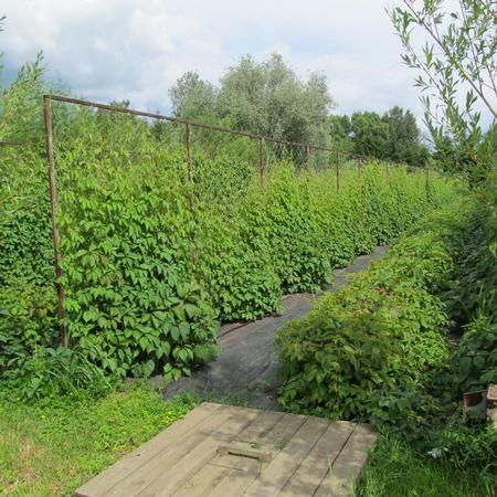 Просмотр увеличенного изображения