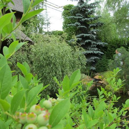 Просмотр увеличенного изображения