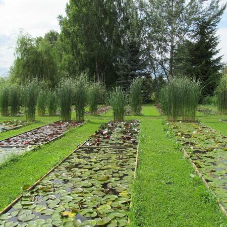 Просмотр увеличенного изображения