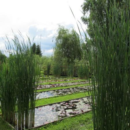 Просмотр увеличенного изображения