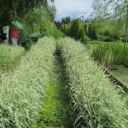 Просмотр увеличенного изображения