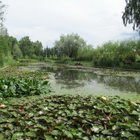 Просмотр увеличенного изображения